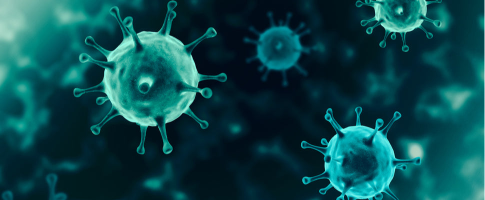 A Covid-19 Update and Potential Delays