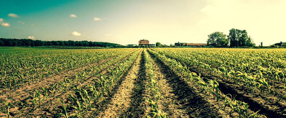 5 Ways To Utlilize LEDs On Your Farm This Fall
