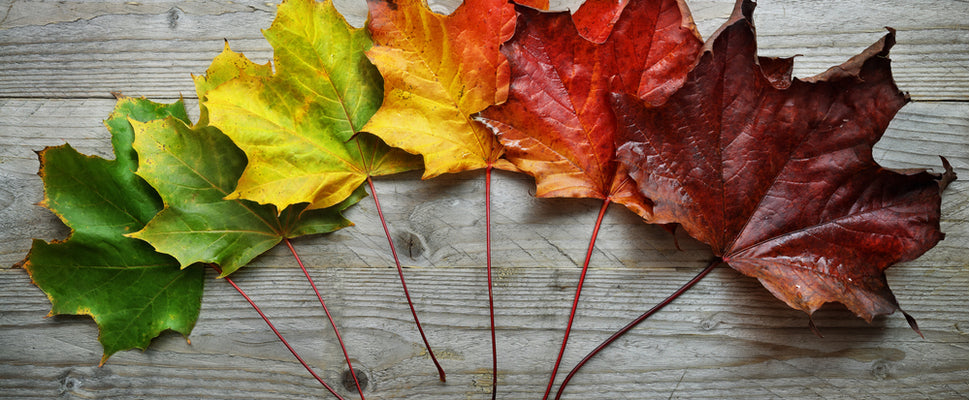 We've Been Quiet For A While...